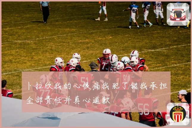 卜拉欣我的心很痛我犯了错我承担全部责任并真心道歉
